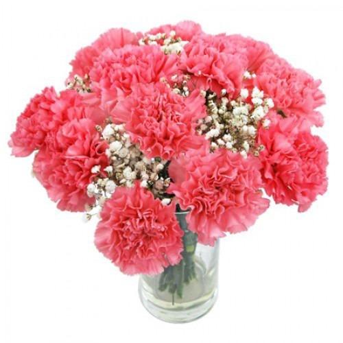 12 Pink Carnation Vase product101