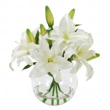 White Lilies In Bowl White Lilies In Bowl