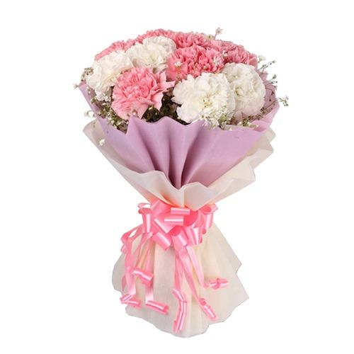 12 Pink and White Carnations in a bouquet product1592