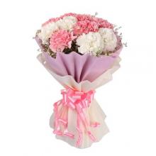 12 Pink and White Carnations in a bouquet 12 Pink and White Carnations in a bouquet