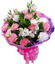 11 pink carnations and 8 white carnations in a bouquet 11 pink carnations and 8 white carnations in a bouquet